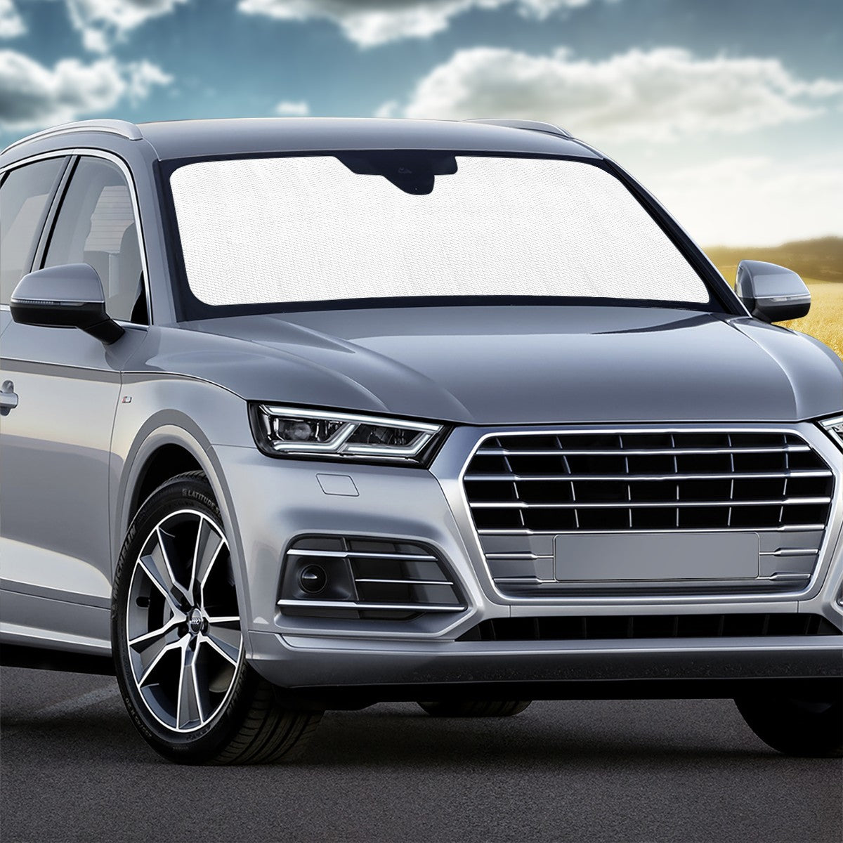 Custom Car Windshield Sun Shade