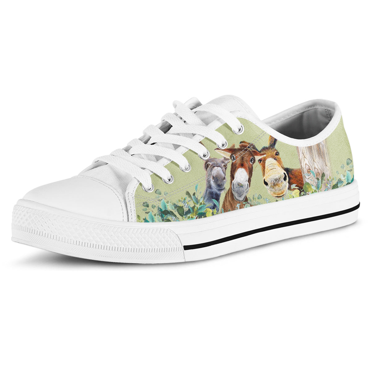 Donkey Canvas Shoes
