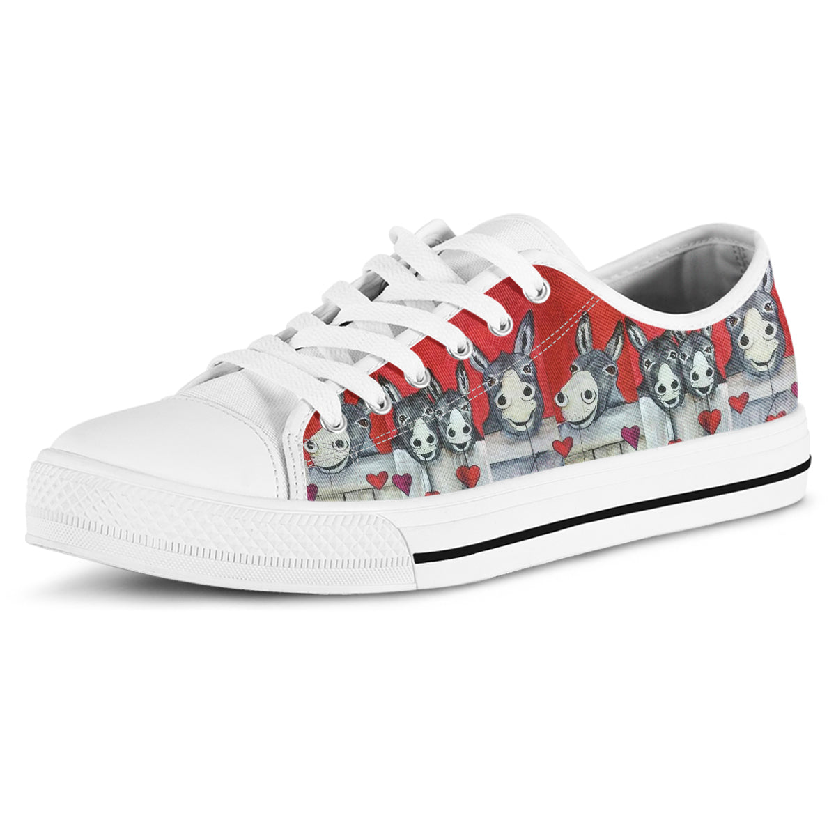 Donkey Canvas Shoes